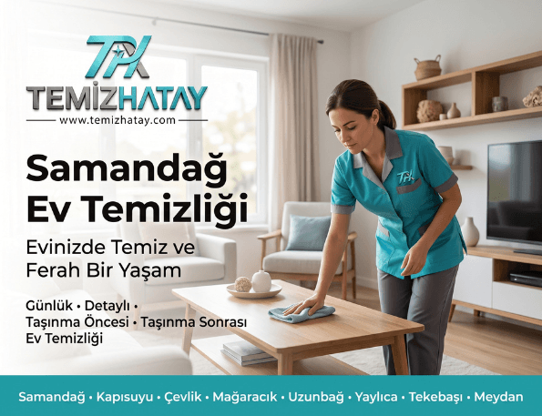 Ev Temizliği
