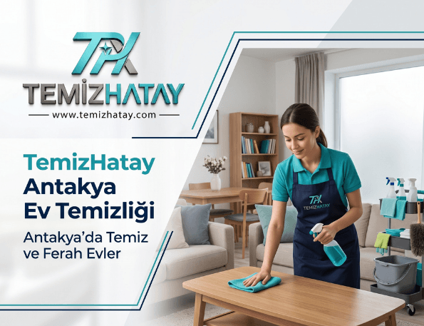 Ev Temizliği